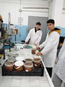 Concorso Oliva Itrana