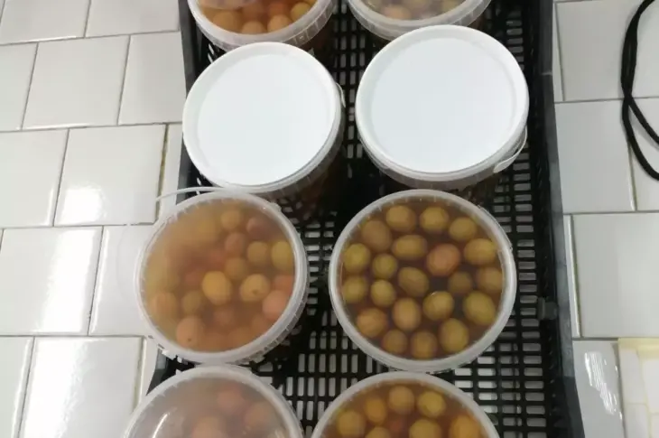 Concorso Oliva Itrana